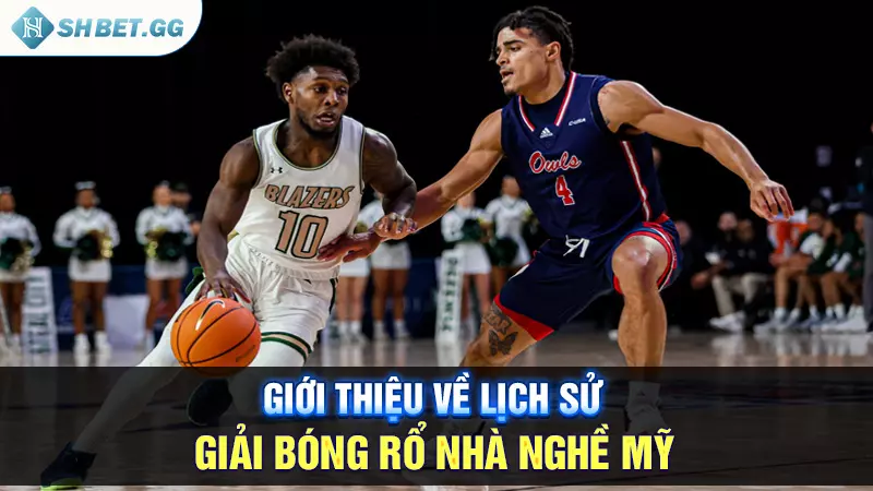 Giới thiệu về lịch sử giải bóng rổ nhà nghề mỹ