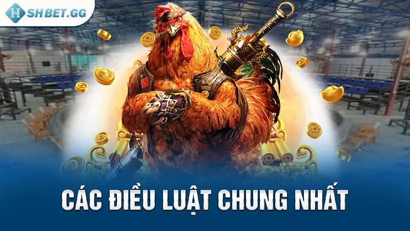 Các điều luật chung nhất