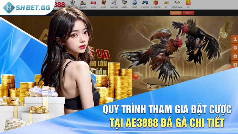 Quy trình tham gia đặt cược tại ae3888 đá gà chi tiết