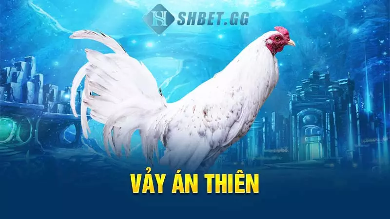 Vảy án thiên