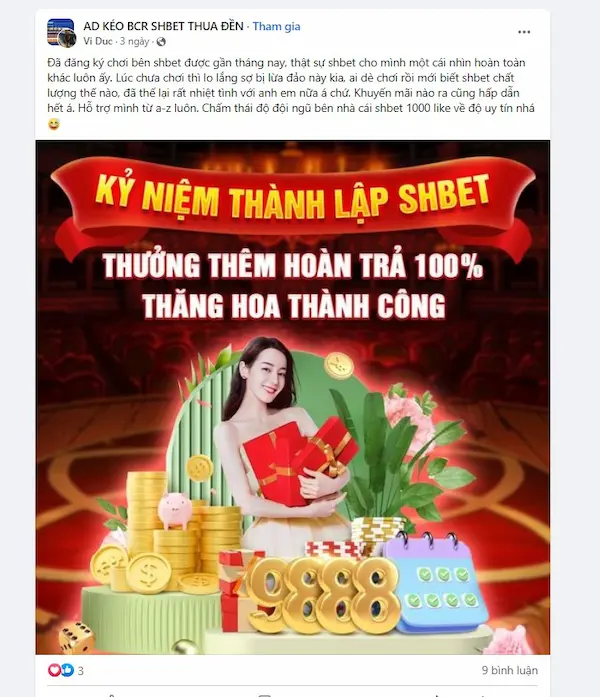 Đánh giá tích cực từ người dùng Shbet