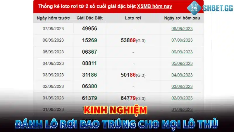 Kinh Nghiệm Đánh Lô Rơi Bao Trúng Cho Mọi Lô Thủ