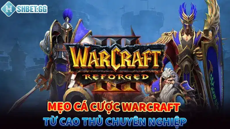 Mẹo cá cược Warcraft từ cao thủ chuyên nghiệp