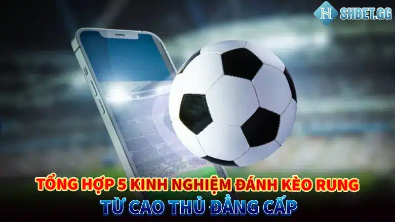 Tổng hợp 5 kinh nghiệm đánh kèo rung từ cao thủ đẳng cấp