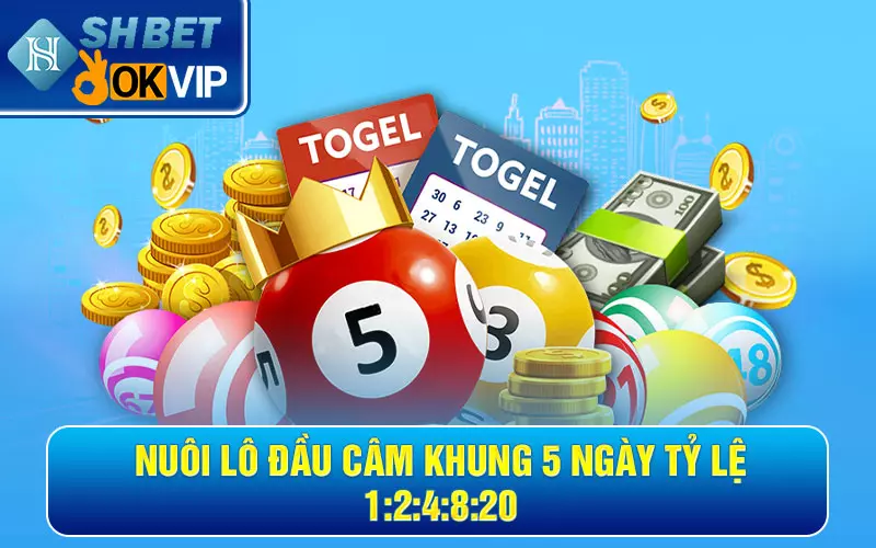 Nuôi lô đầu câm khung 5 ngày tỷ lệ 1:2:4:8:20