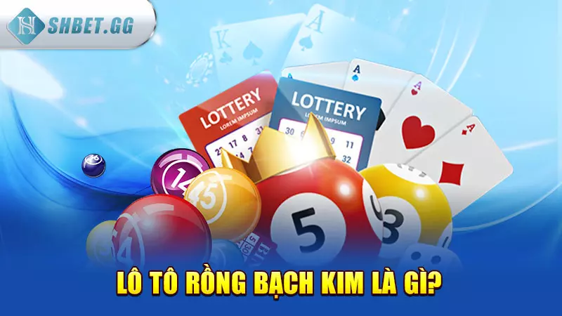 Lô tô rồng bạch kim là gì?