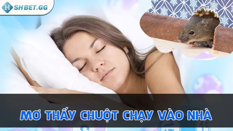 Mơ thấy chuột chạy vào nhà