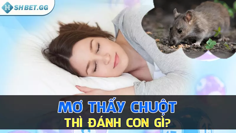 Mơ thấy chuột thì đánh con gì?