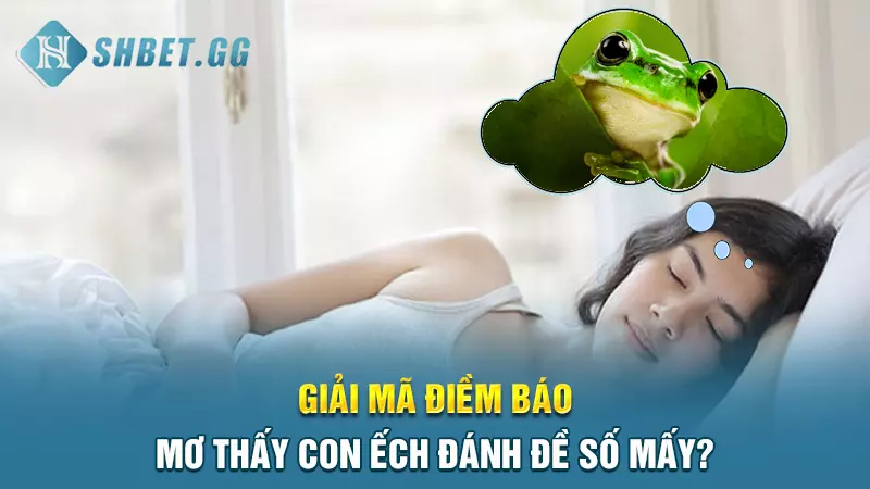 Giải mã điềm báo mơ thấy con ếch đánh đề số mấy?